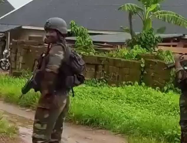 TENSION ON THE BORDER: CAMEROONIAN TROOPS WITHDRAW FROM NIGERIAN COMMUNITY AFTER LEVY DISPUTE